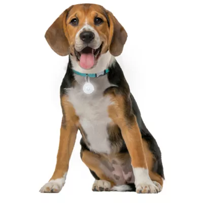 Product Nite Ize® SpotLit Collar Light