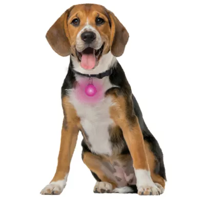 Product Nite Ize® SpotLit Collar Light
