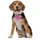 Product Nite Ize® SpotLit Collar Light