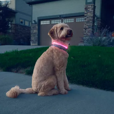 Product Nite Ize® NiteHowl® LED Safety Necklace