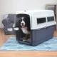 Product Sport Pet Plastic Travel Kennel for Dogs - White