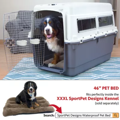 Product Sport Pet Plastic Travel Kennel for Dogs - White