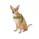 Product Top Paw® Comfort Slip-On Harness