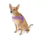 Product Top Paw® Comfort Slip-On Harness