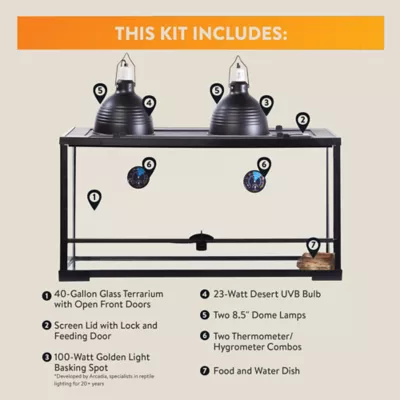 Product Thrive ™ Desert Essentials Kit - 40G