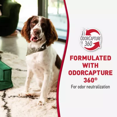 Product Nature's Miracle Advanced Stain and Odor Eliminator for Dogs, with Flip and Go Sprayer, 64 oz