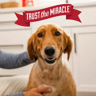 Product Nature's Miracle Advanced Stain and Odor Eliminator for Dogs, with Flip and Go Sprayer, 64 oz