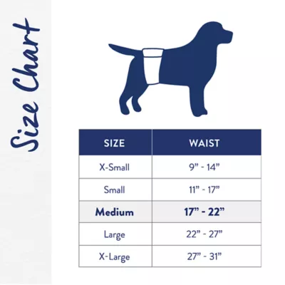 Product Top Paw® Disposable Male Wraps for Dogs, with Swift-Dry® Technology