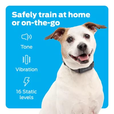 Product Premier Pet™ 1000 Foot Trainer with Rechargeable Battery