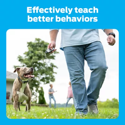 Product Premier Pet™ 1000 Foot Trainer with Rechargeable Battery