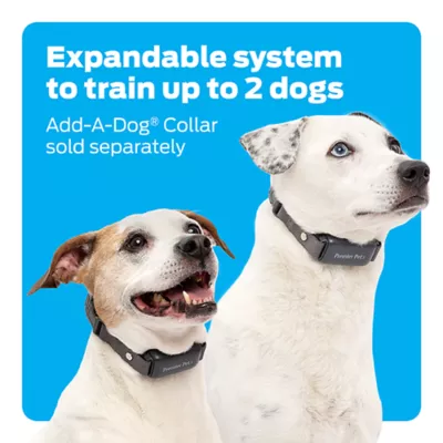 Product Premier Pet™ 1000 Foot Trainer with Rechargeable Battery