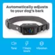 Product Premier Pet™ Bark Collar with Digital Display