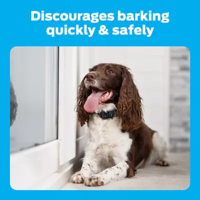 Product Premier Pet™ Bark Collar with Digital Display