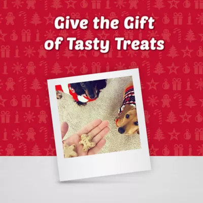 Product Blue Buffalo Santa Snack Biscuit Dog Treats 11 OZ