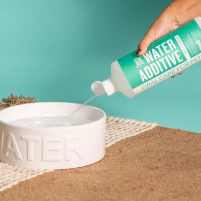 Product Skout's Honor Water Additive for Dogs & Cats - Fresh & Flavorless Oral Care for Pets, 32 oz Bottle