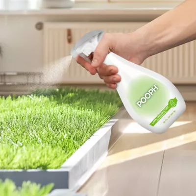 Product POOPH Lawn and Turf Odor Eliminator 20 oz