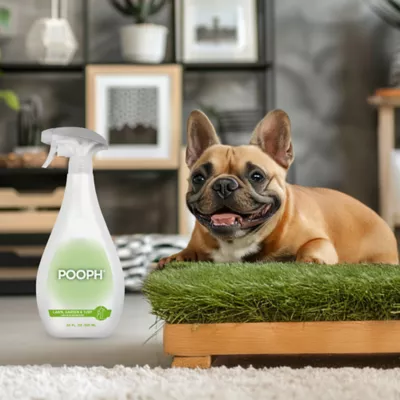 Product POOPH Lawn and Turf Odor Eliminator 20 oz