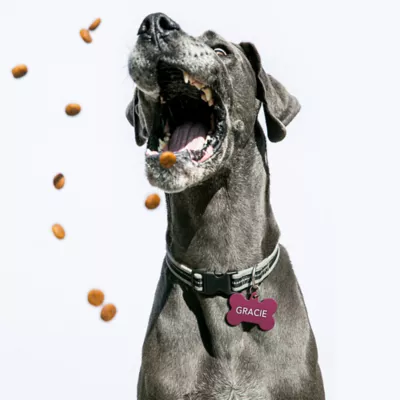 Product TagWorks® Aluminum Bone Shaped ID Tag