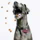 Product TagWorks® Aluminum Bone Shaped ID Tag