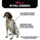 Product KONG® Waste Bag Dog Harness