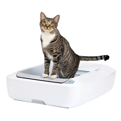 Product PetSafe ScoopFree Crystal Plus Self-Cleaning Litter Box System