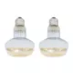 Product Thrive® Golden Light Basking Spots 2-pack