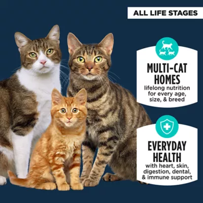 Product Authority® Everyday Health All Life Stages Dry Cat Food - Whitefish