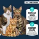 Product Authority® Everyday Health All Life Stages Dry Cat Food - Whitefish