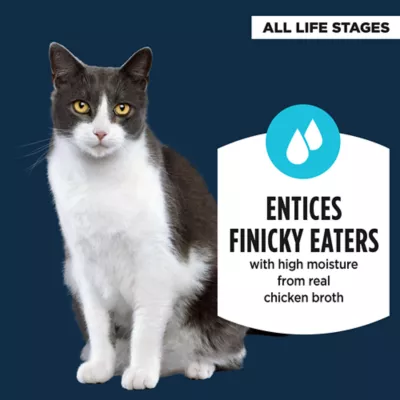 Product Authority® Hydration Cat Food Complement - 1.4 Oz Broth