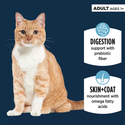 Product Authority Cat - Adult, Wet Food, Sensitive Stomach + Skin, Chicken, Turkey, 5.5 OZ