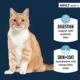 Product Authority Cat - Adult, Wet Food, Sensitive Stomach + Skin, Chicken, Turkey, 5.5 OZ