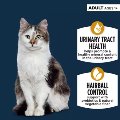 Product Authority Cat - Adult, Wet Food, Urinary Tract Health, Hairball Control, Pate, VP, 12 CT, 36 OZ