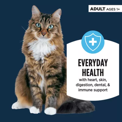 Product Authority Cat - Adult, Wet Food, Pate, Salmon, 3 OZ