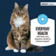Product Authority Cat - Adult, Wet Food, Pate, Salmon, 3 OZ