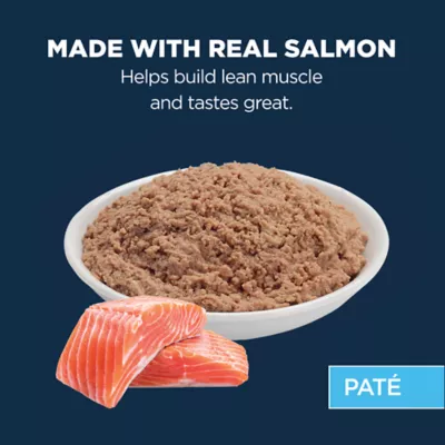 Product Authority Cat - Adult, Wet Food, Pate, Salmon, 3 OZ