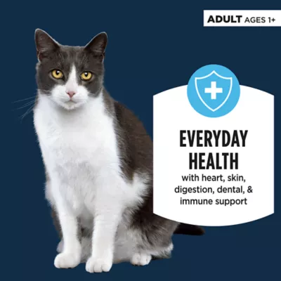 Product Authority Cat - Adult, Wet Food, Pate, Chicken, 5.5 OZ