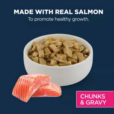Product Authority Cat - Kitten, Wet Food, Split Cup, Chunks, Gravy, Salmon, 2.65 OZ