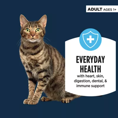 Product Authority Cat - Adult, Wet Food, Split Cup, Chunks, Gravy, Chicken, 2.65 OZ