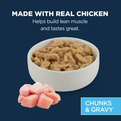 Product Authority Cat - Adult, Wet Food, Split Cup, Chunks, Gravy, Chicken, 2.65 OZ