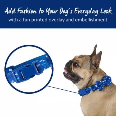 Product Top Paw® Blue Shark Dog Collar with Bow