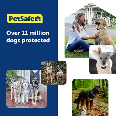 Product PetSafe Guardian® Add-A-Dog® Collar