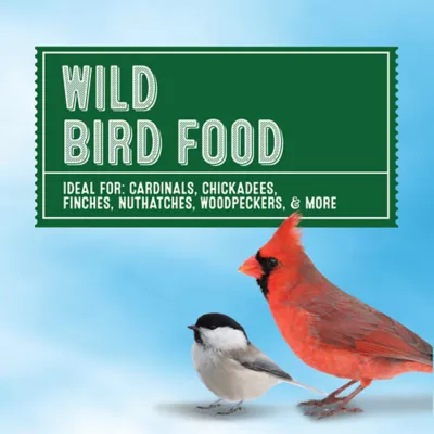 Product All Living Things® Black Oil Sunflower Seeds