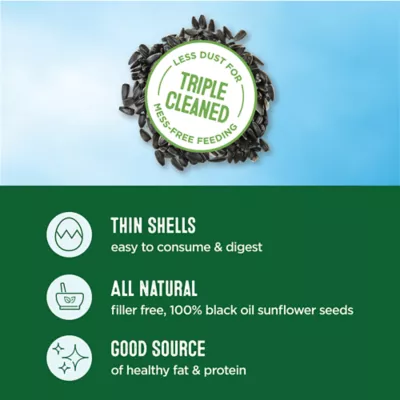 Product All Living Things® Black Oil Sunflower Seeds