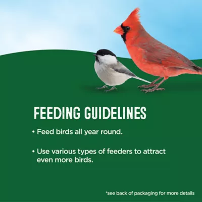 Product All Living Things® Black Oil Sunflower Seeds