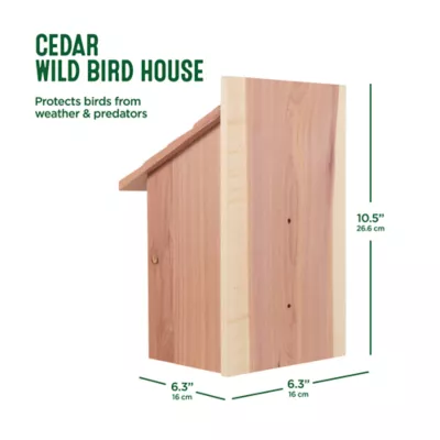 Product All Living Things® Cedar Wild Bird House