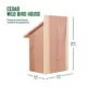 Product All Living Things® Cedar Wild Bird House