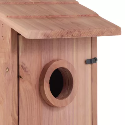 Product All Living Things® Cedar Wild Bird House
