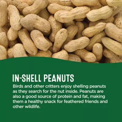 Product All Living Things® In-Shell Peanuts