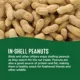Product All Living Things® In-Shell Peanuts