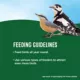 Product All Living Things® In-Shell Peanuts